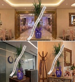 Düğün, Açılış ve Ev Hediyesi İçin %100 Doğal, Yıllarca Yaşayan Kalıcı Tebrik Çiçeği (Dracena)